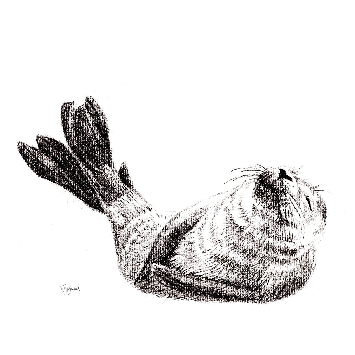Mignon bébé phoque, impression d'art noir et blanc pour chambre de bébé sur le thème de la faune