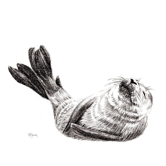 Mignon bébé phoque, impression d'art noir et blanc pour chambre de bébé sur le thème de la faune