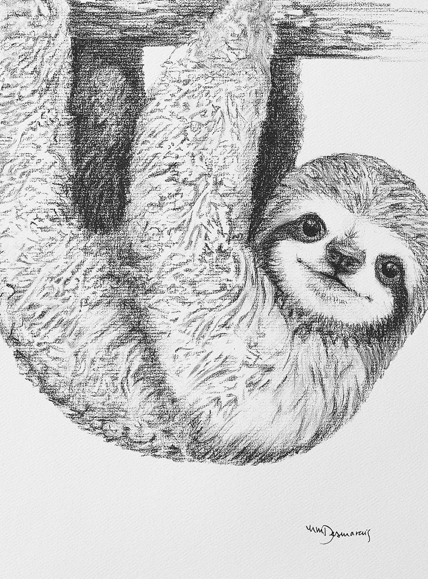 Bébé paresseux mignon - imprimé animal noir et blanc