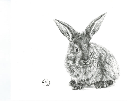 Carte de Vœux Lapin Mignon