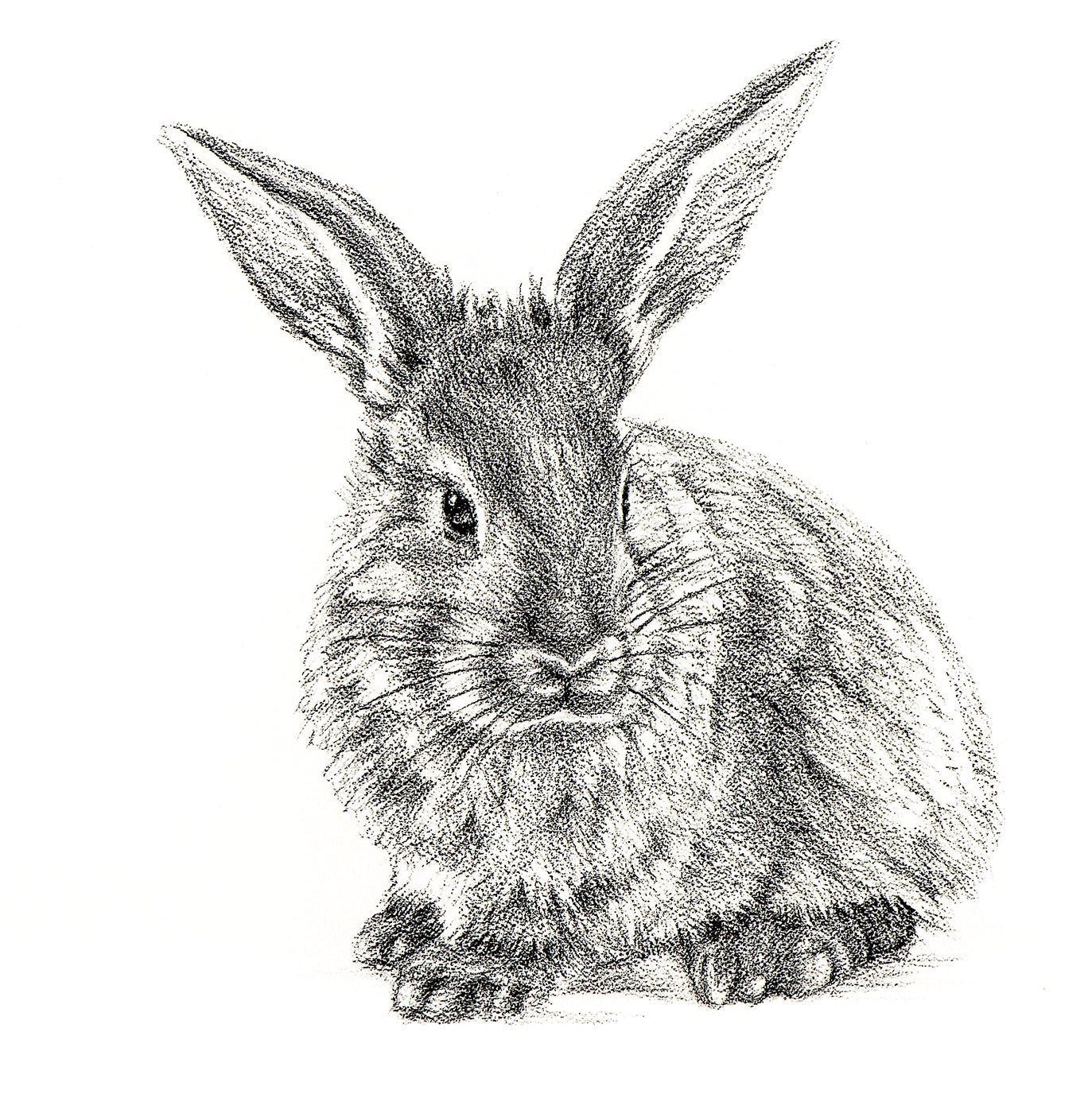 Profil de lapin mignon - Impression d'art noir et blanc de faune pour chambre d'enfant