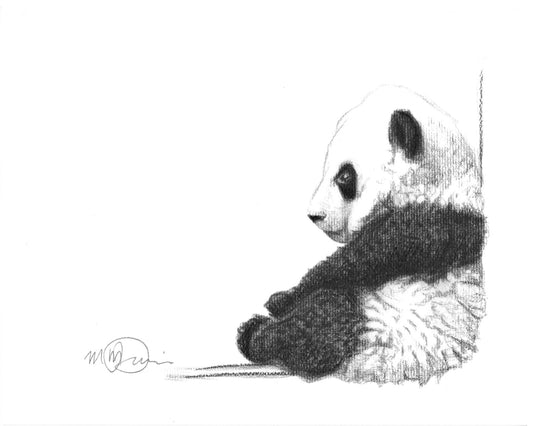 Joli panda assis - imprimés animaliers noir et blanc