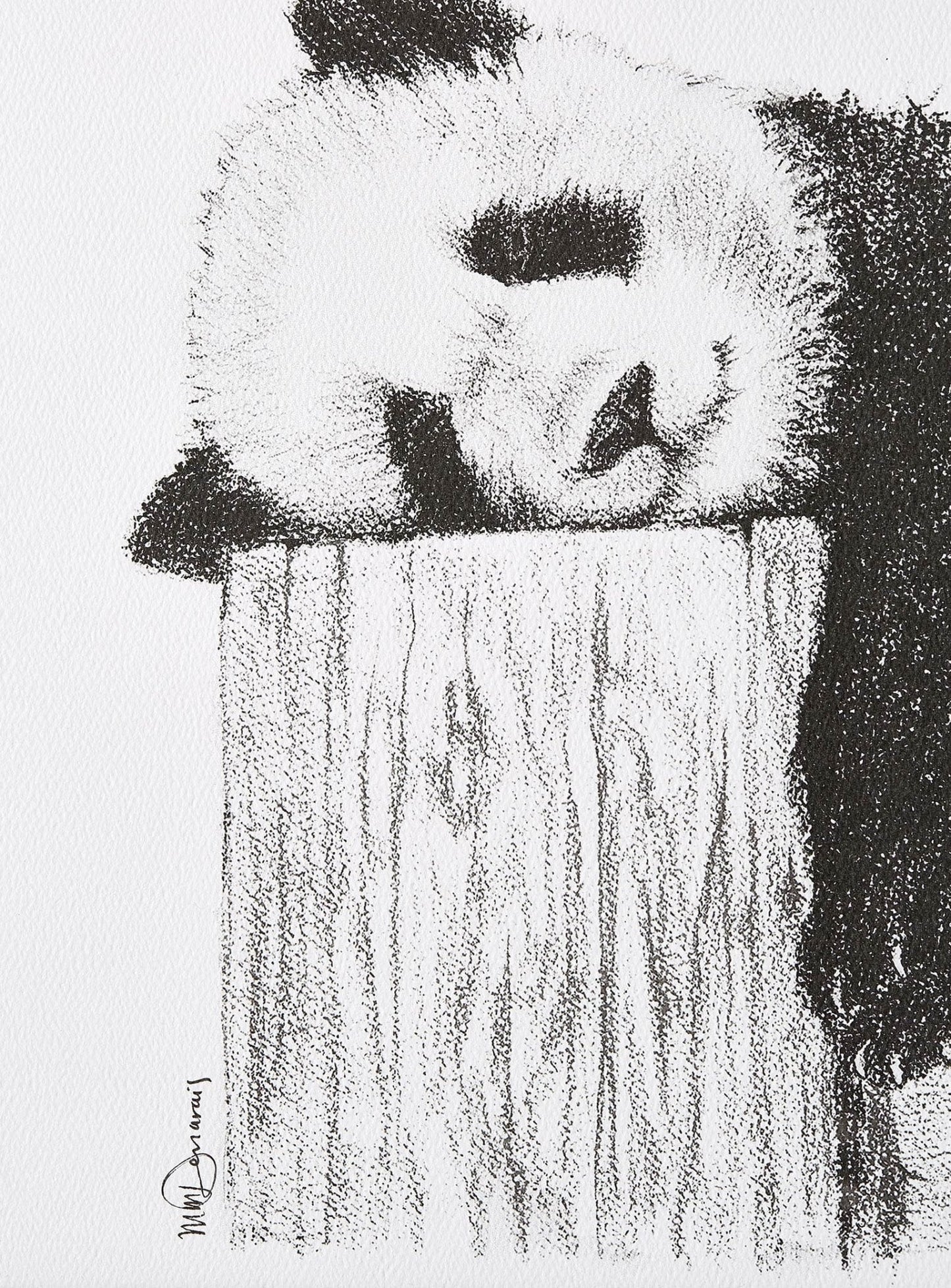 Adorable Panda endormi - Impression d'art en noir et blanc
