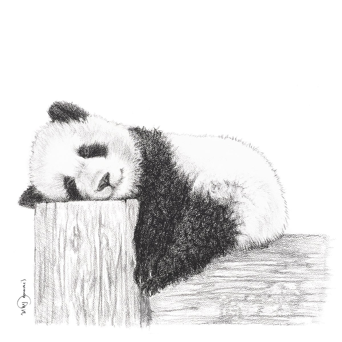 Adorable Panda endormi - Impression d'art en noir et blanc