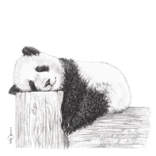 Adorable Panda endormi - Impression d'art en noir et blanc