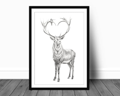 Cerf aux bois en forme de cœur - illustration