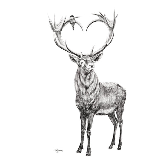 Cerf aux bois en forme de cœur - illustration