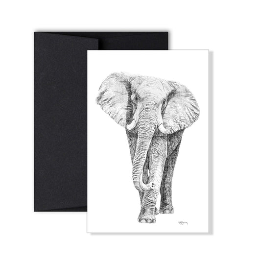 Carte de vœux éléphant