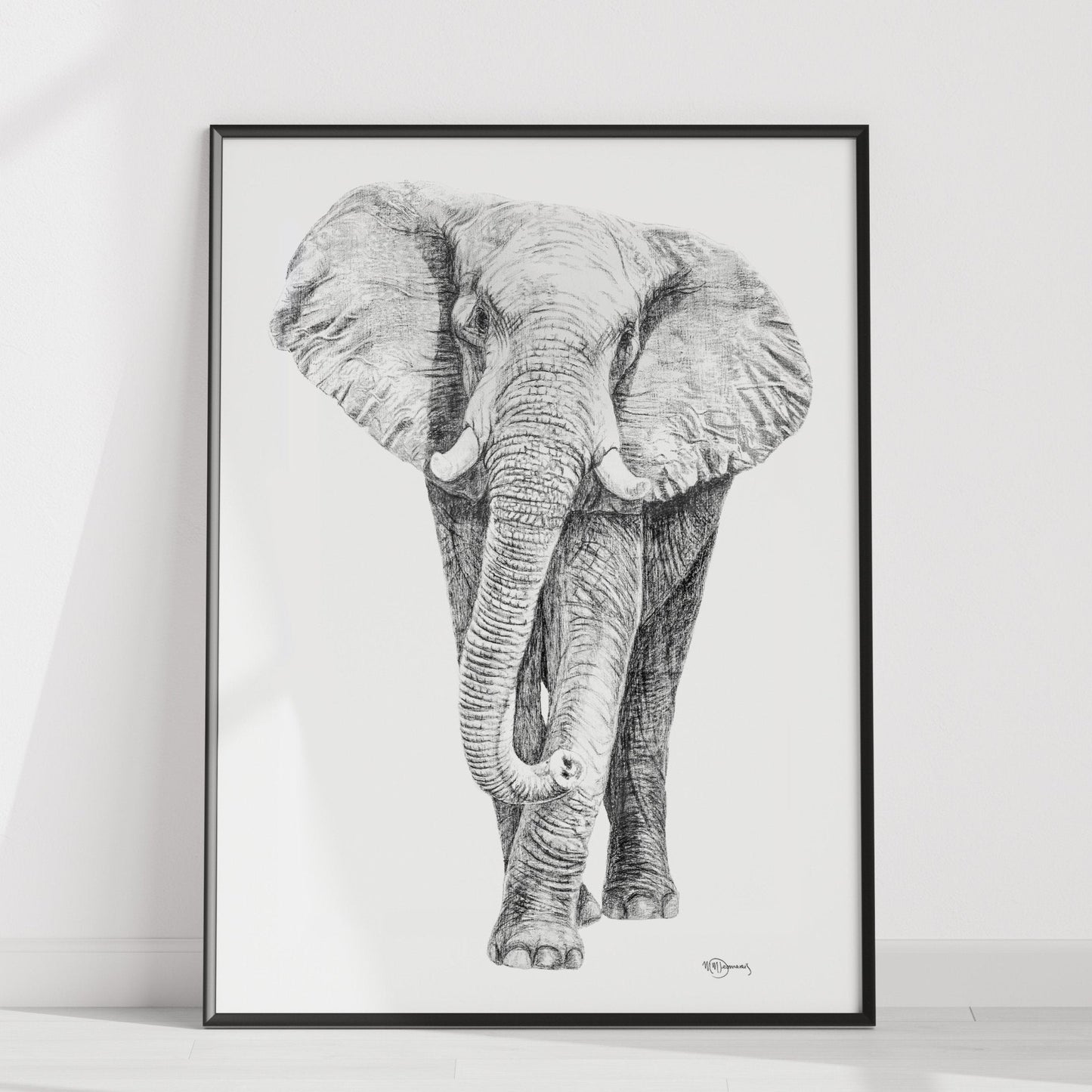 Illustration d'éléphant - en collaboration avec La Fondation du Zoo de Granby