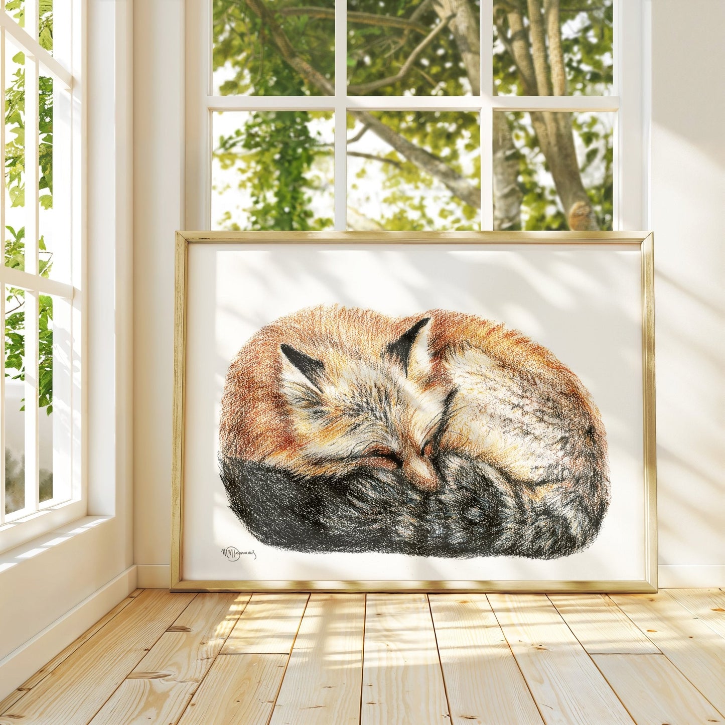 Renard endormi - enroulé en boule - Impression d'art animalier colorée