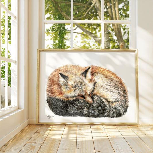 Renard endormi - enroulé en boule - Impression d'art animalier colorée