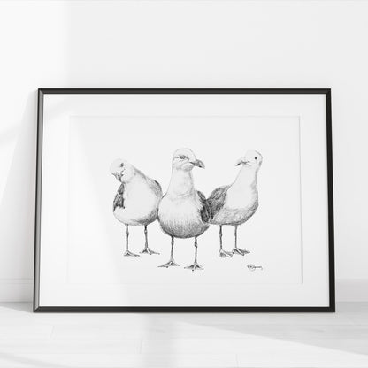 Mouettes rigolotes - art animalier noir et blanc