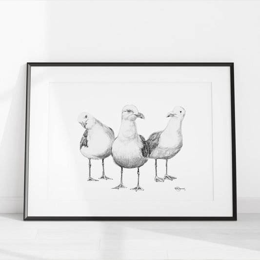 Mouettes rigolotes - art animalier noir et blanc
