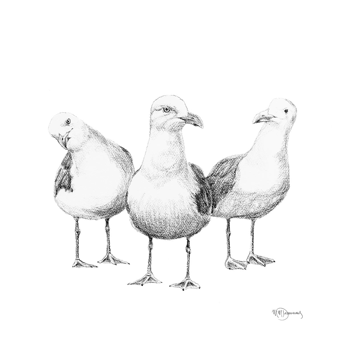 Mouettes rigolotes - art animalier noir et blanc