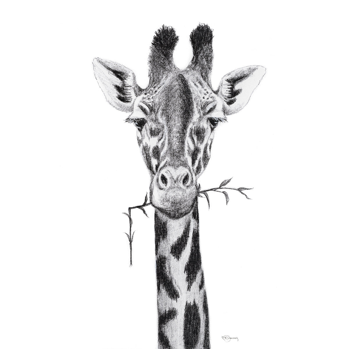 Portrait de girafe - impression d'art safari noir et blanc