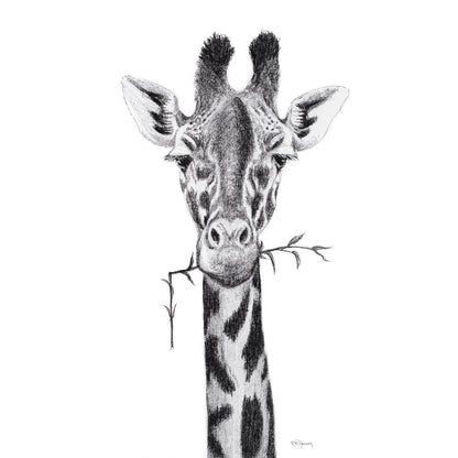 Portrait de girafe - impression d'art safari noir et blanc