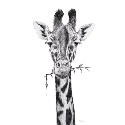 Portrait de girafe - impression d'art safari noir et blanc