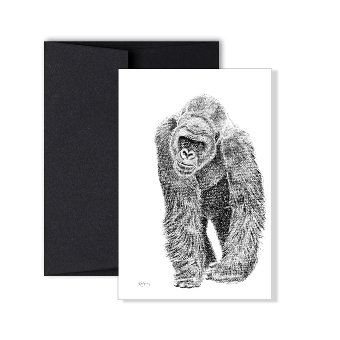 Gorilla greeting card - collaboration with La Fondation du Zoo de Granby