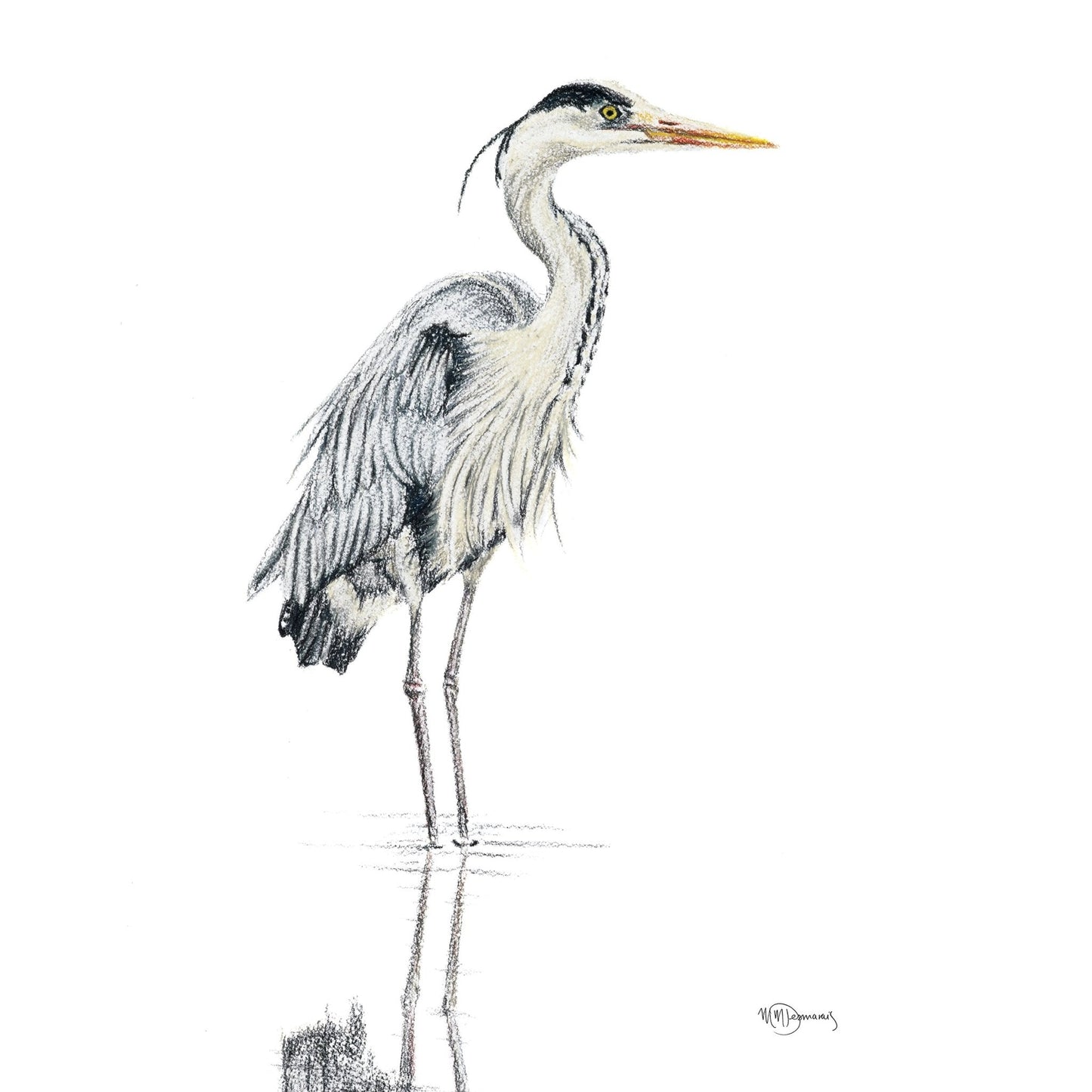 Héron NO 1 - Héron bleu coloré dans l'eau - impression d'art
