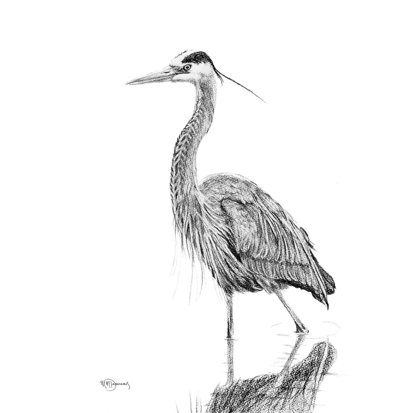 Héron NO 2 - Noir et blanc - Grand Héron dans l'eau - impression d'art