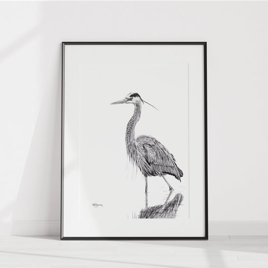 Héron NO 2 - Noir et blanc - Grand Héron dans l'eau - impression d'art