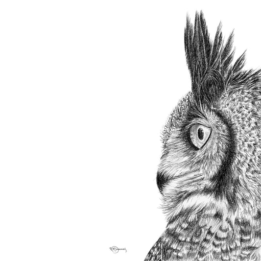 Hibou grand-duc - carte de vœux