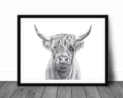 Highland Cow Portrait - art print