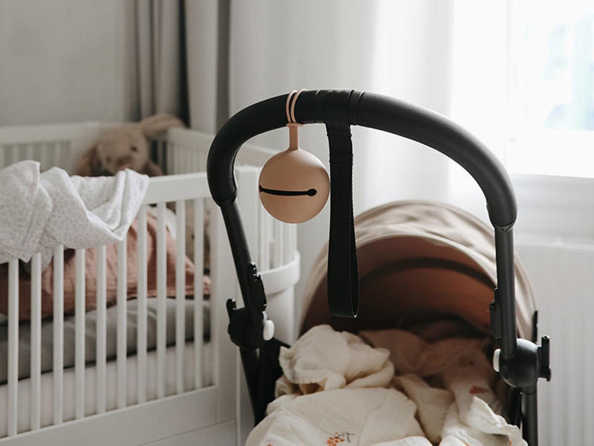 Silicone Pacifier Case