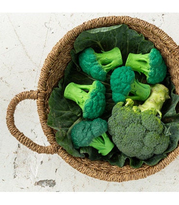 Broccoli Teether