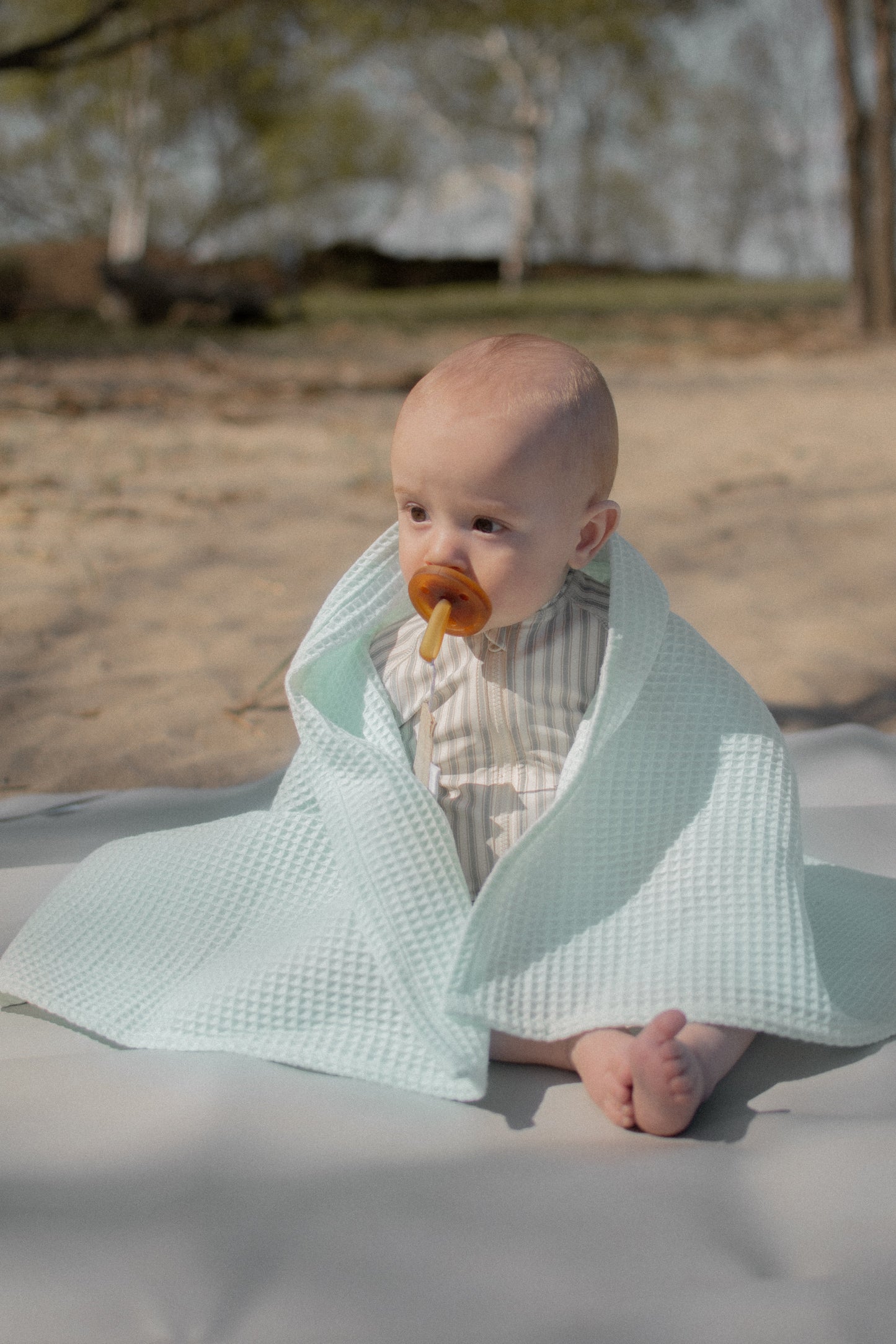 Napkin