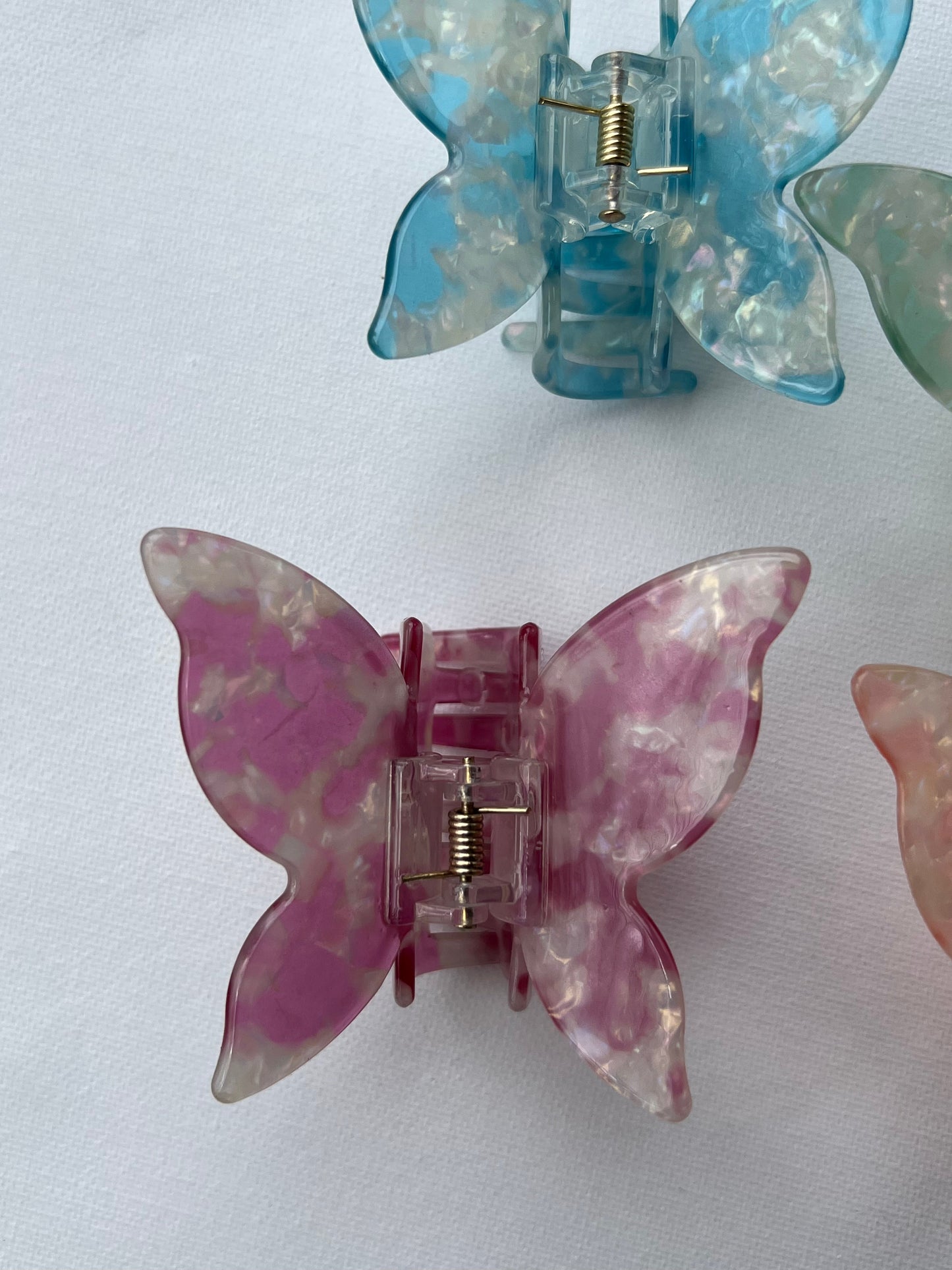 La collection de papillons