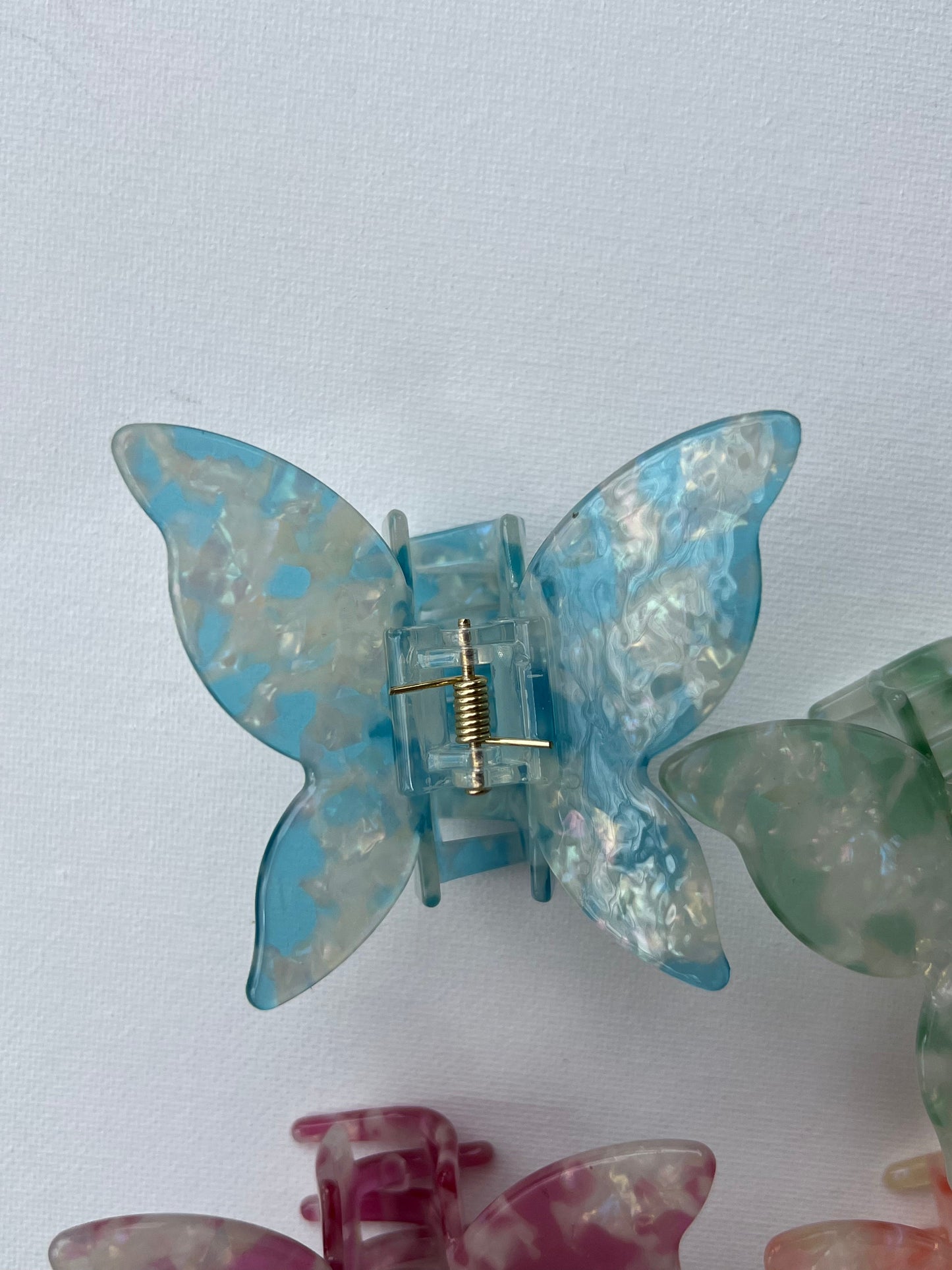 La collection de papillons