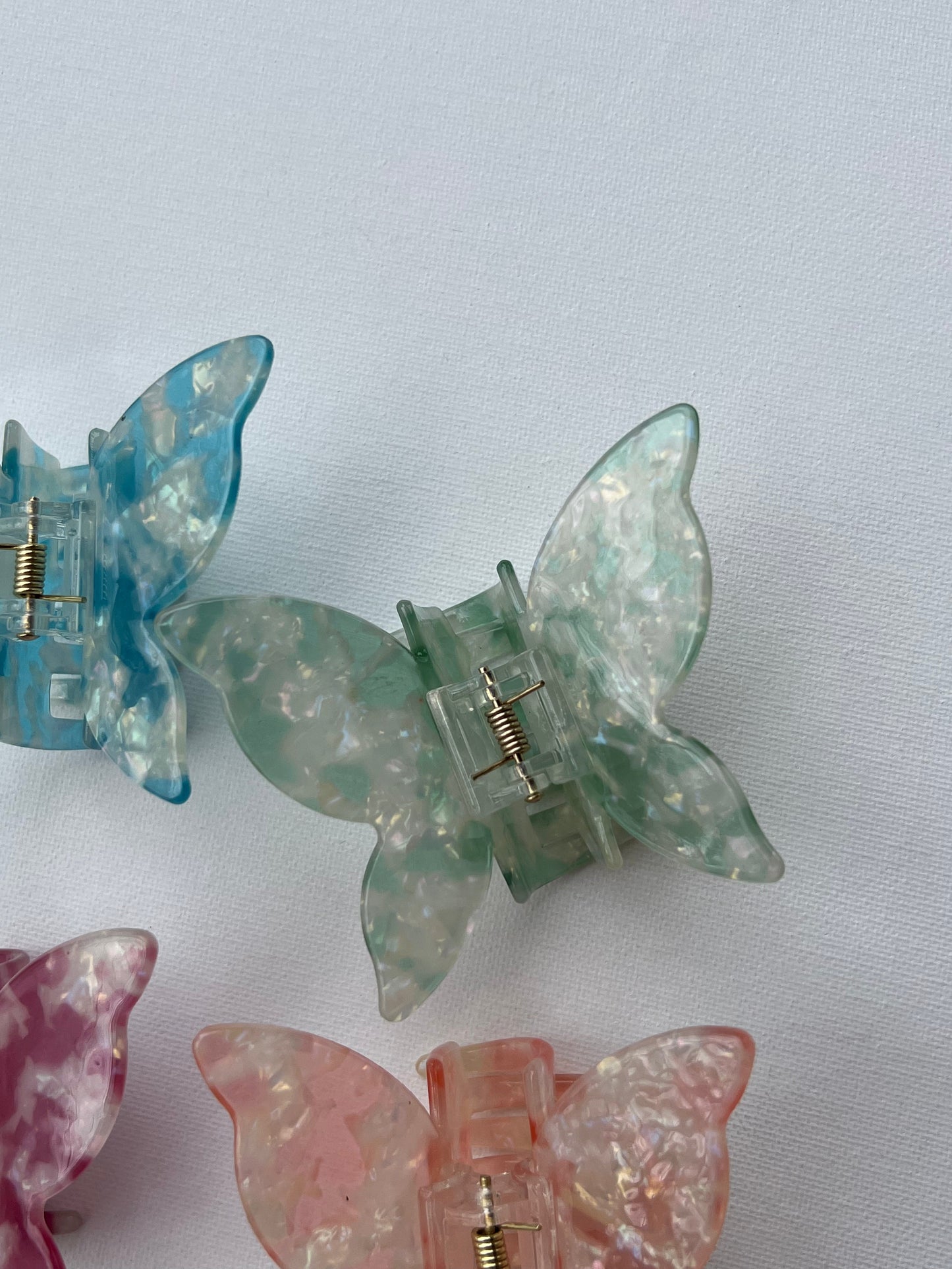 La collection de papillons