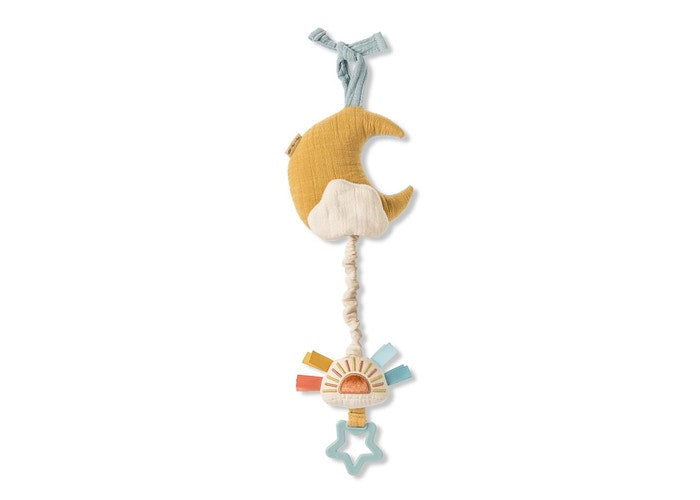 Bitzy Notes Musical Pull-Down Toy