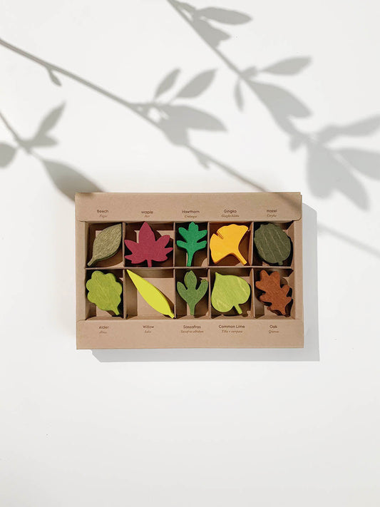 Feuilles des bois