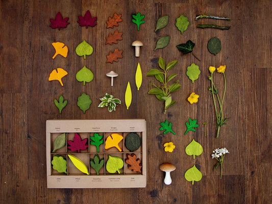 Feuilles des bois