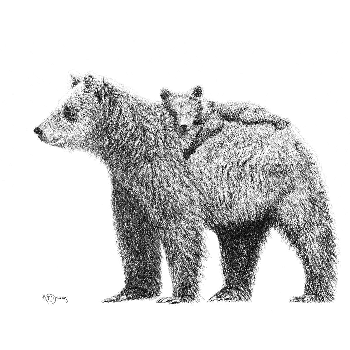 Grizzly et son ourson - impression d'art animalier en noir et blanc