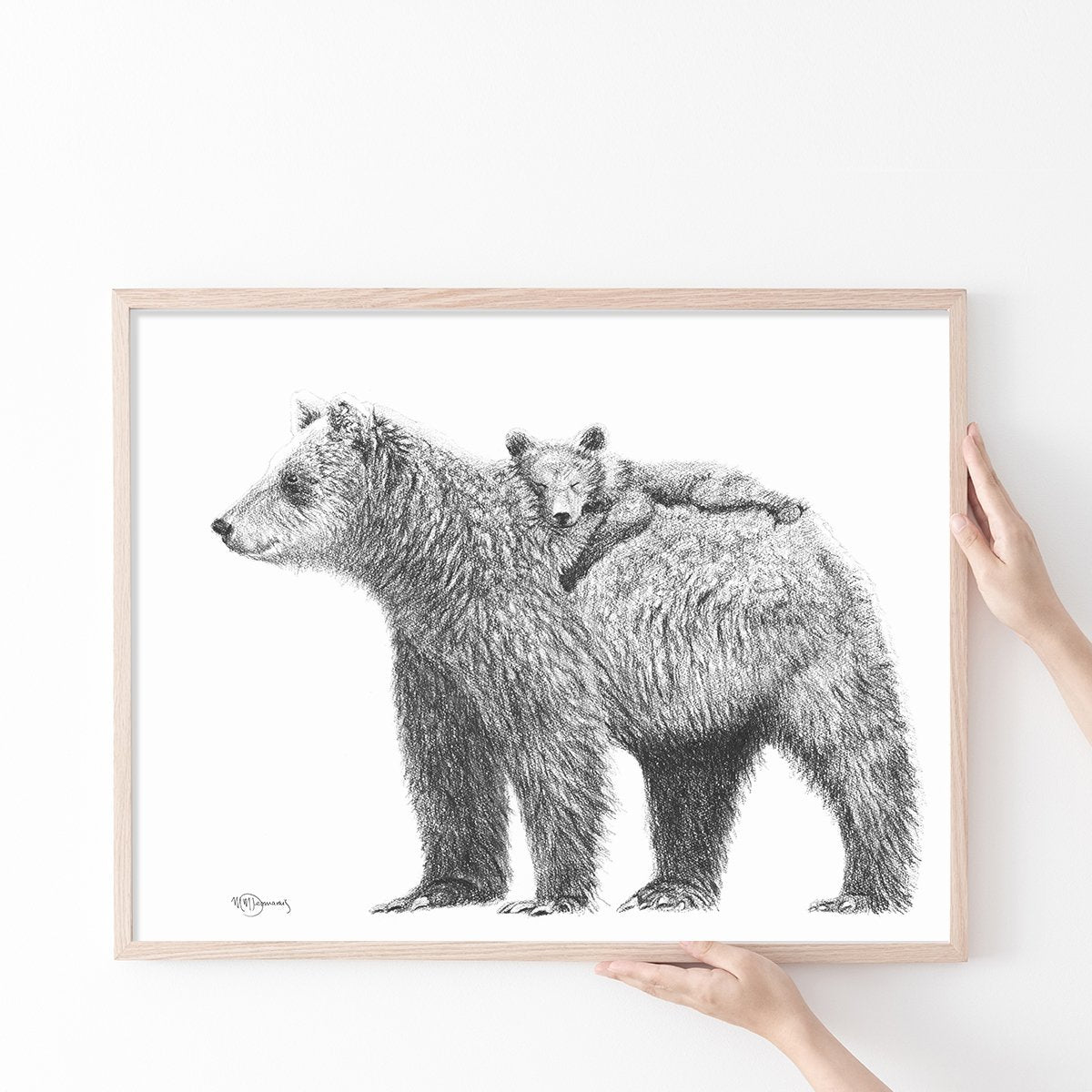 Grizzly et son ourson - impression d'art animalier en noir et blanc