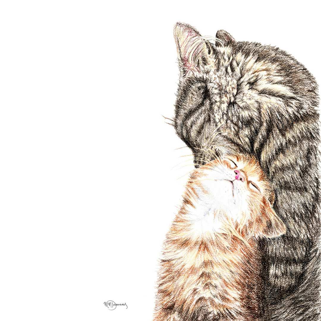 Maman chat avec son chaton - carte de vœux