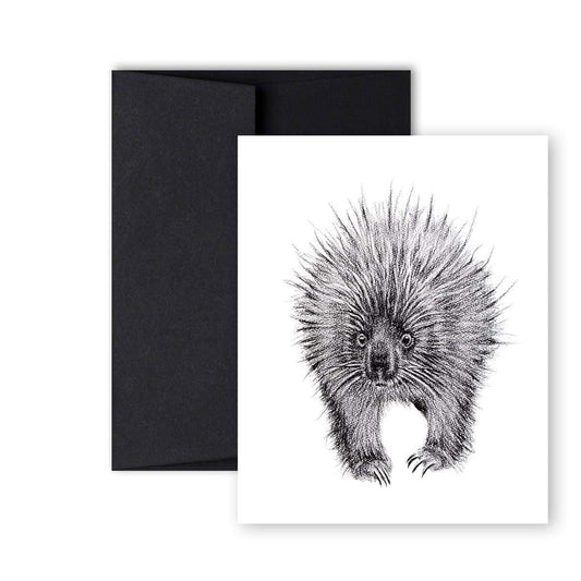 Carte de vœux Hérisson recto-verso