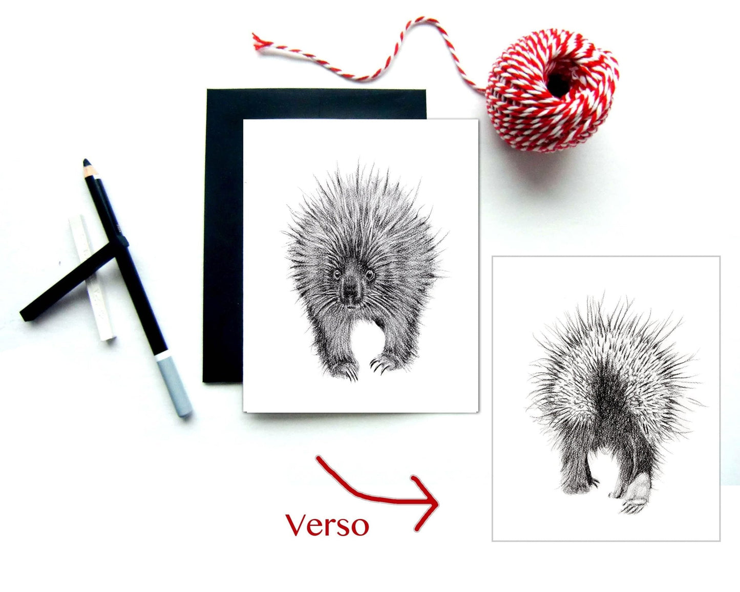 Carte de vœux Hérisson recto-verso