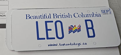 Plaque d'immatriculation personnalisée pour voiture d'enfant