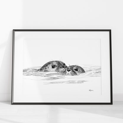 Seal with cub - black and white wildlife illustration