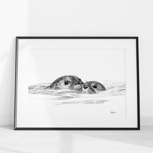 Phoque avec son petit - illustration animalière en noir et blanc