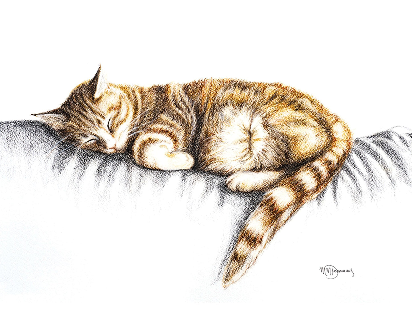 Chat endormi - Carte de vœux