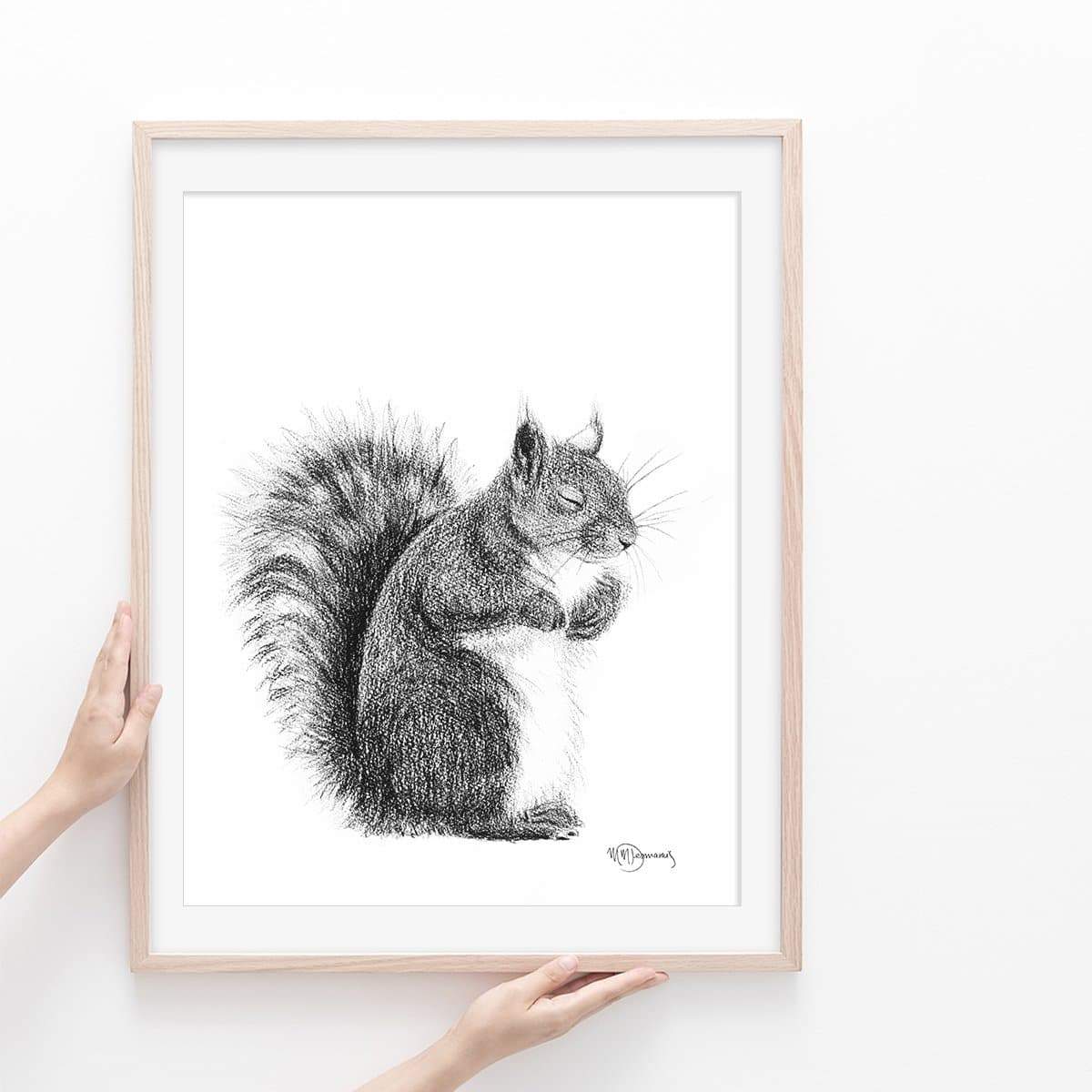 Écureuil endormi - illustration noir et blanc