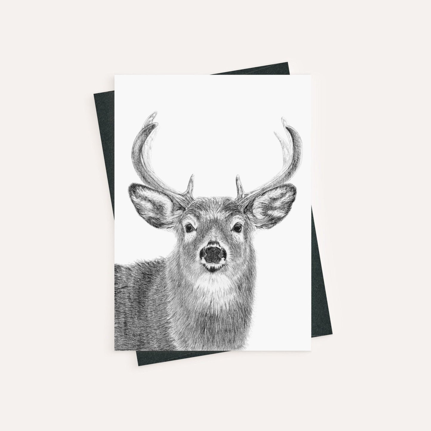 Cerf - carte de vœux
