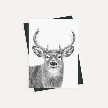 Stag - greeting card