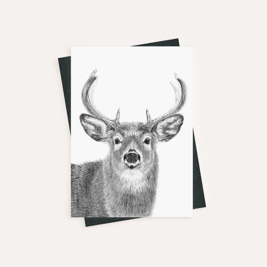 Cerf - carte de vœux
