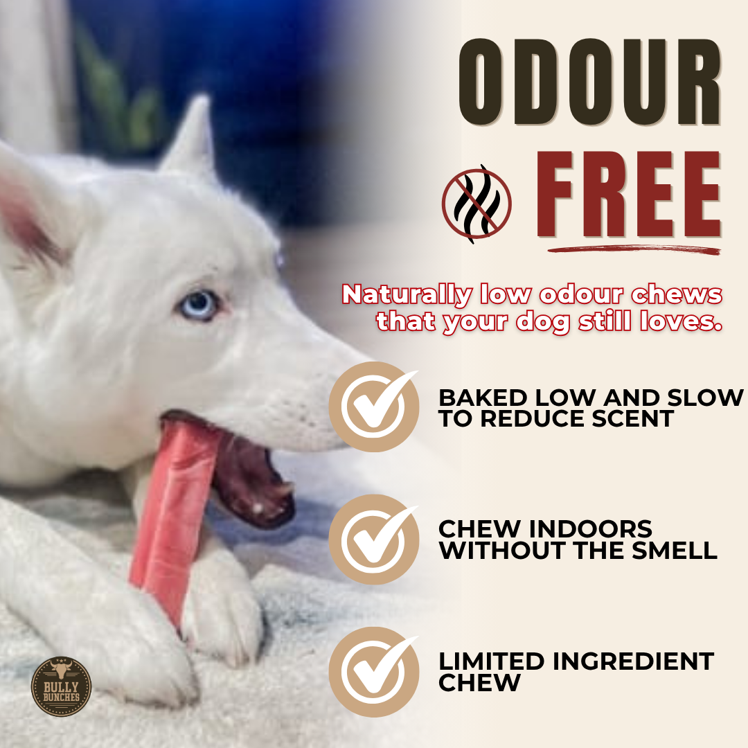 Strawberry Himalayan Yak Chew (MEDIUM)